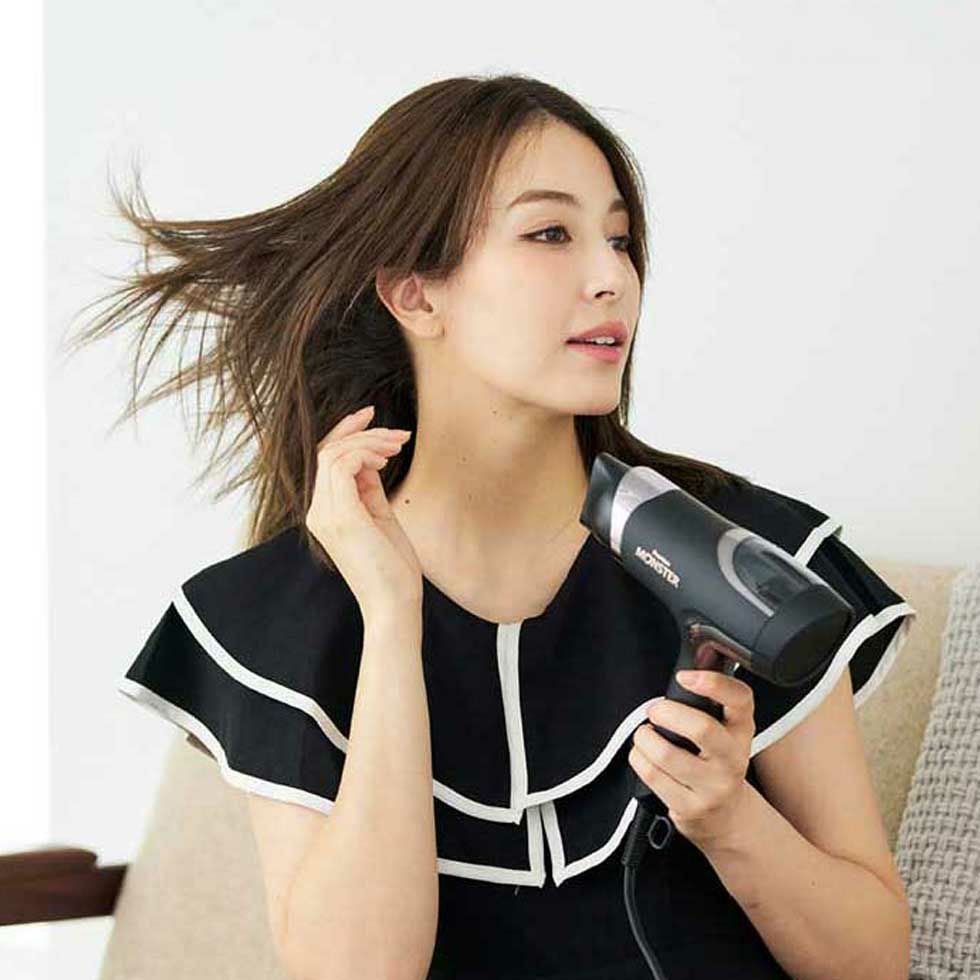 MONSTER(モンスター) BLDCダブルファンドライヤーKHD-W995 | コイズミ