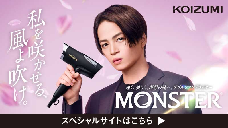 販売終了】MONSTER(モンスター) ダブルファンドライヤーKHD-W815