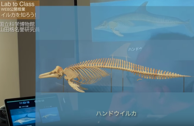 第2回WEB公開授業ダイジェスト「イルカを知ろう！- 講義編