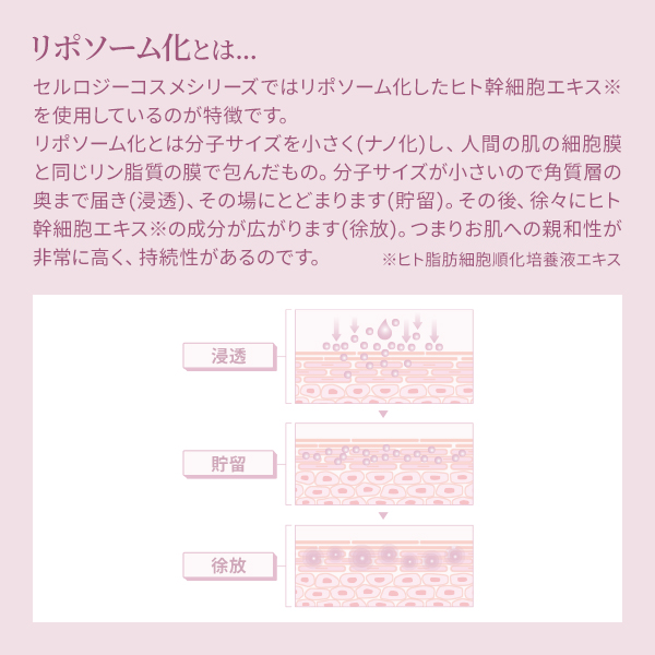 送料無料】＜セルロジーコスメ＞ 特別サンプル5点セット (ホームケア用