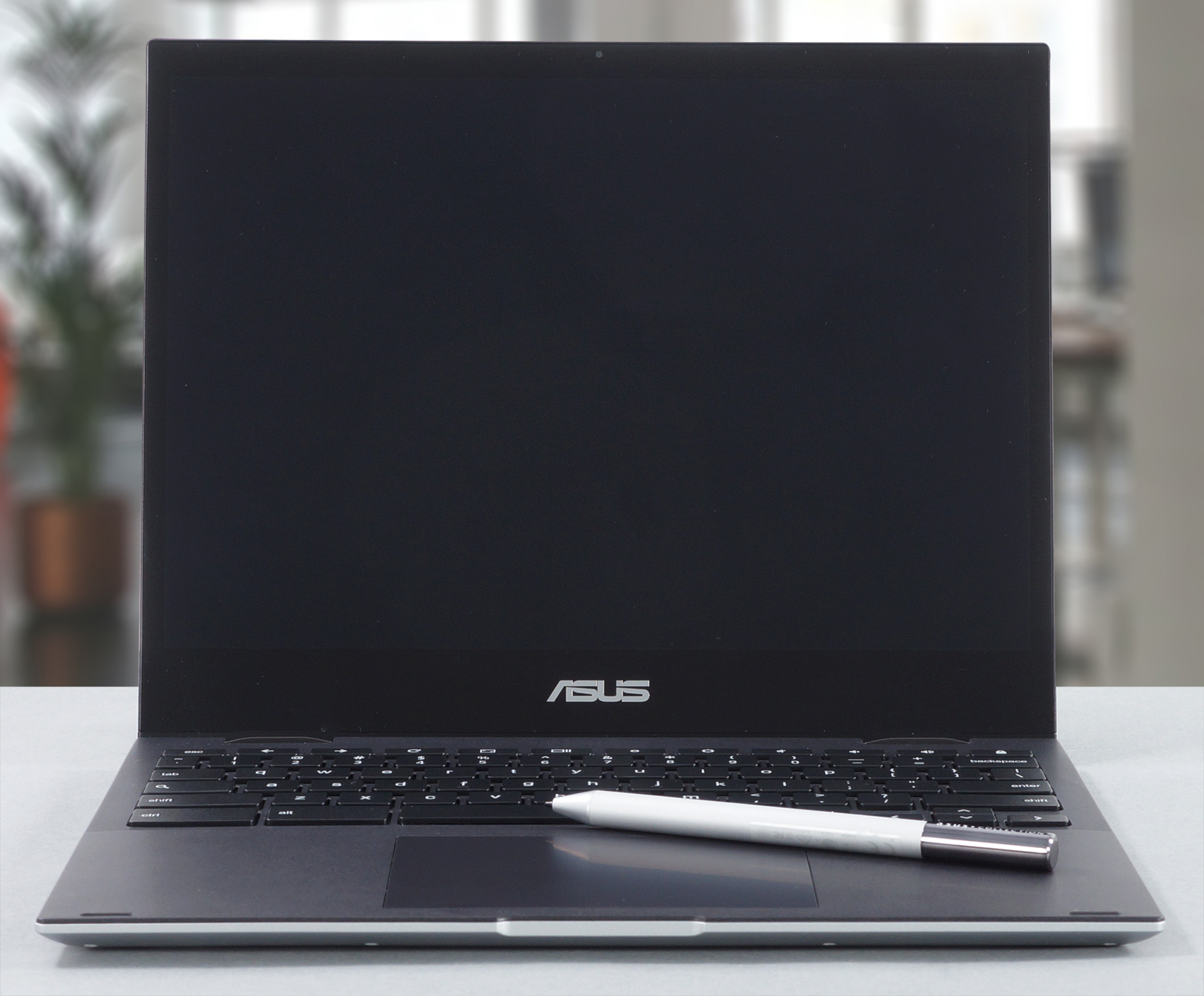 ASUS Chromebook Flip CM3 (CM3200)レビュー - IPSディスプレイと超長