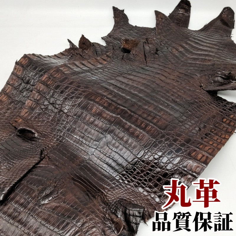 ワニ革＞カイマン – レザーマニア東京通販