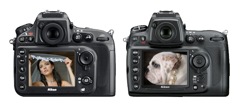 Nikon D800/D800E New Features Explained | New Zealand Pre-Wedding