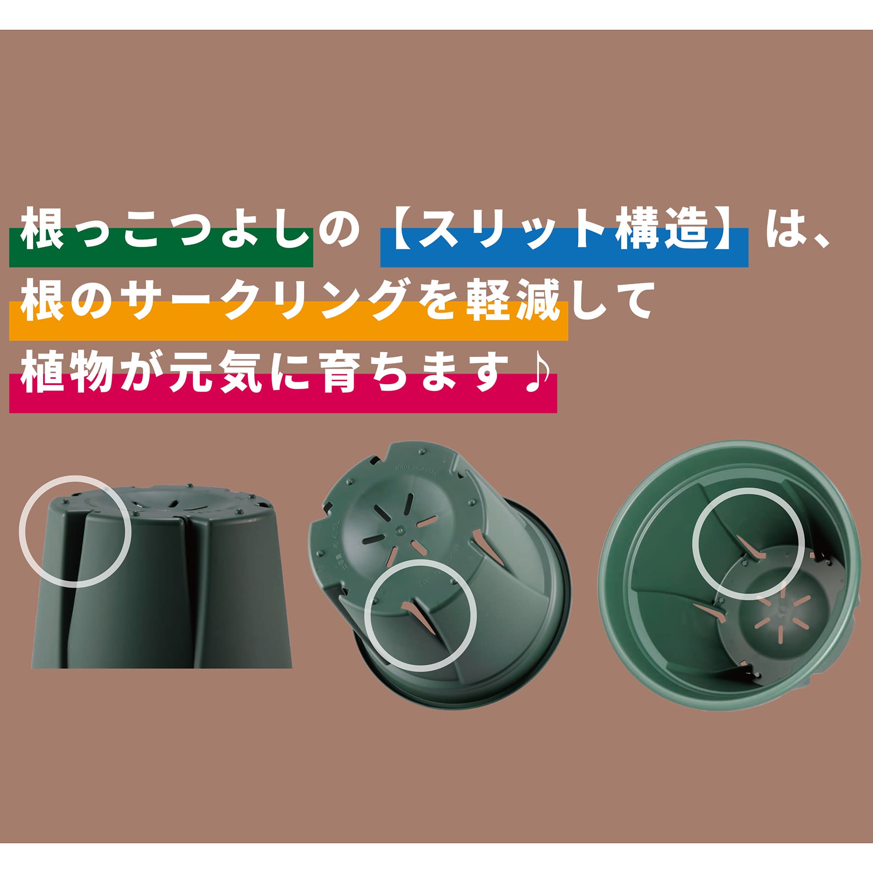 根っこつよし 3.5号（4個パック） アップルウェアー（apple