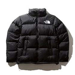 ノースフェイス(THE NORTH FACE)の古着・中古通販｜ブランド買取販売店