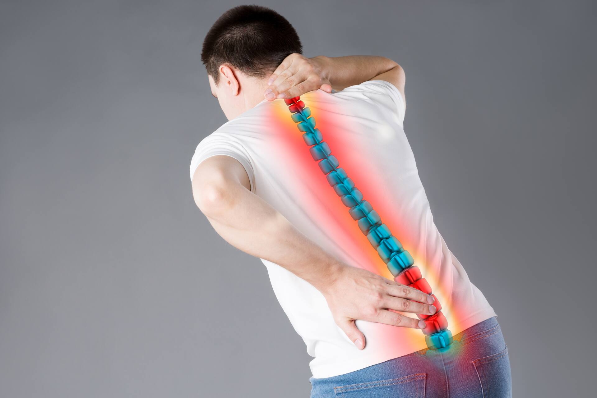 カイロプラクティックとは、わかりやすく｜千葉県松戸市の整体のライフ