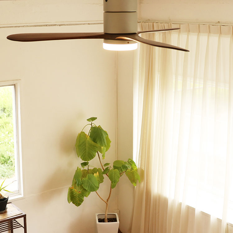 Modern Collection LED シーリングファン REAL wood blades (電球色