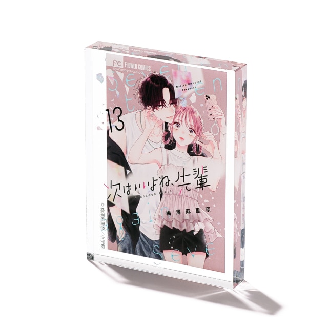 梅澤麻里奈先生画業15周年記念 『次はいいよね、先輩』 コミックス13巻