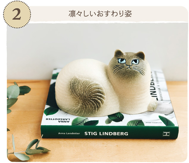 Maj じゃまをする猫「マイ」