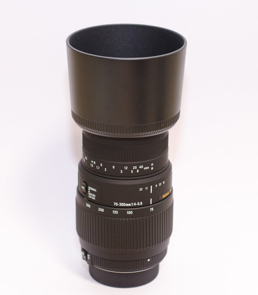 カメラ】SIGMA 70-300mm F4-5.6 DG MACROを買ってみた - furutakeの日常