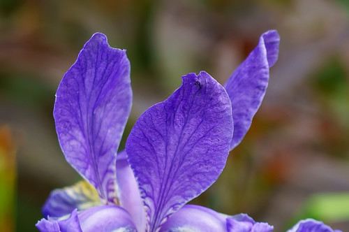 Schneider Kreuznach Radionar L 45mm F2.8 | Flickr