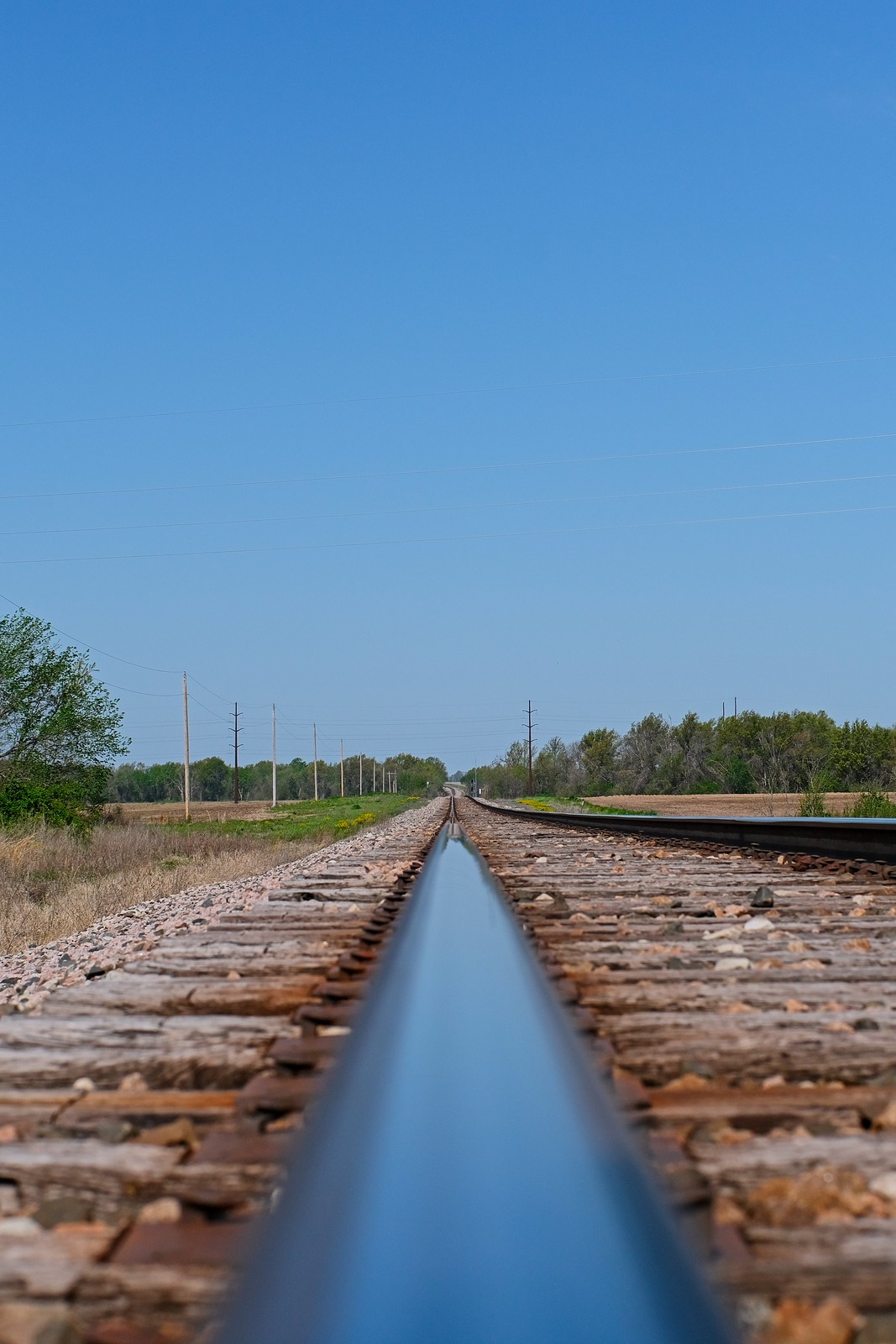 Ricoh Auto Rikenon 55mm f1.4 (M42) - Page 3 - PentaxForums.com