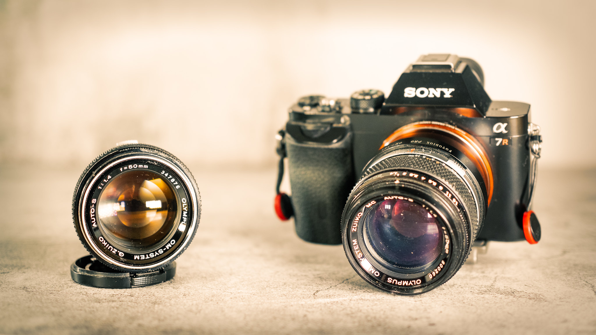 Olympus OM Zuiko MC 50mm f1.4 – paulamyes