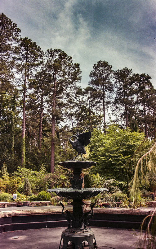 This Old Lens: Yashica 28mm f/2.8 (C/Y Mount) – Eric L. Woods