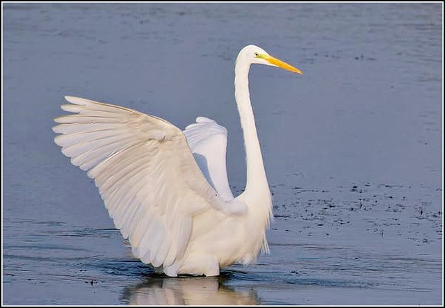 Panasonic Lumix DMC-FX500 | Flickr