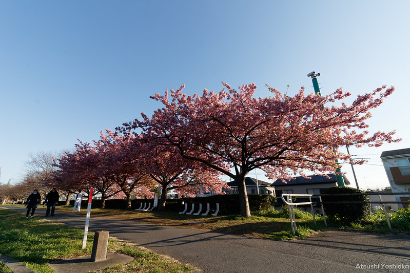 Canon EF-S10-18mm F4.5-5.6 IS STM実写レビュー。はじめての超広角に