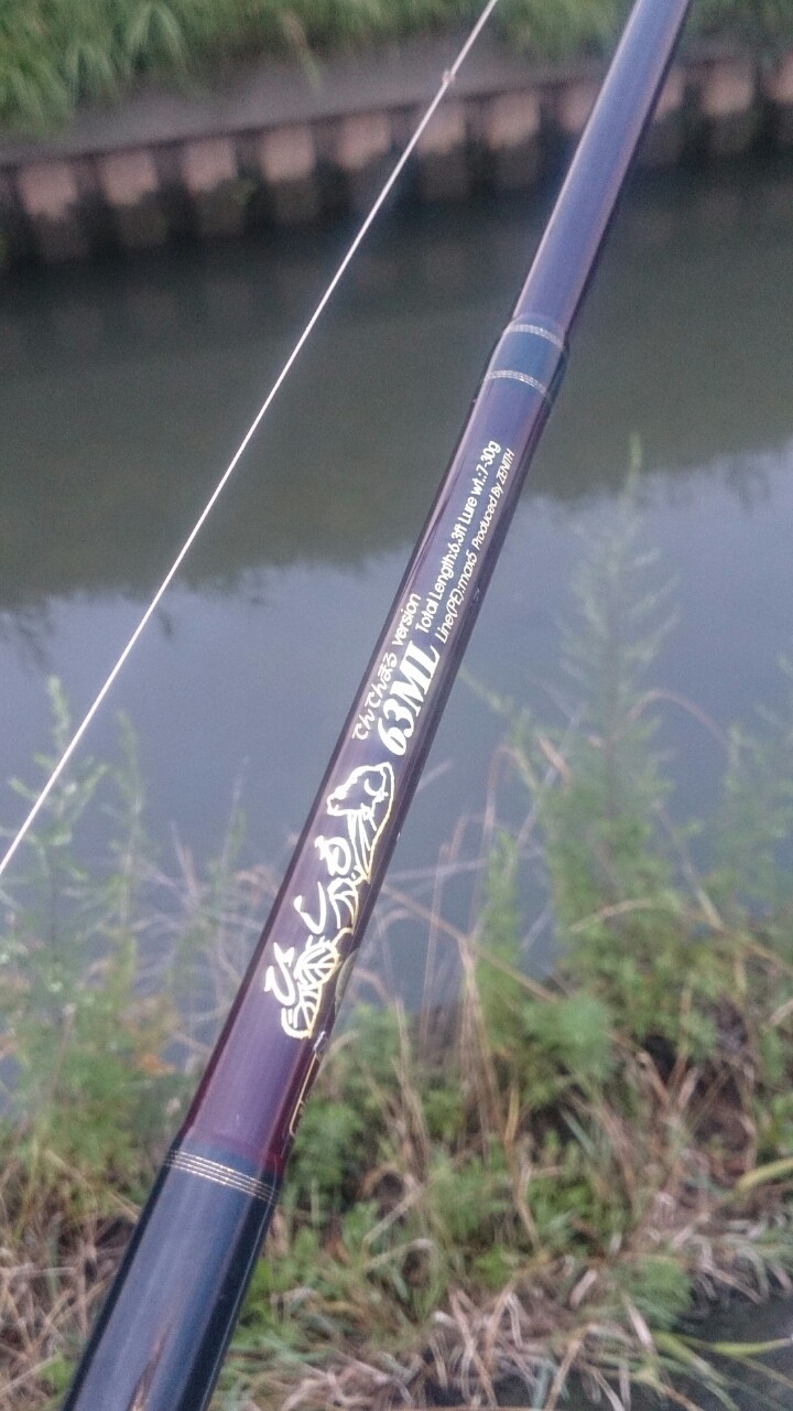 ZENITH ひしも 63ML : ナマズがメインの釣りブログ