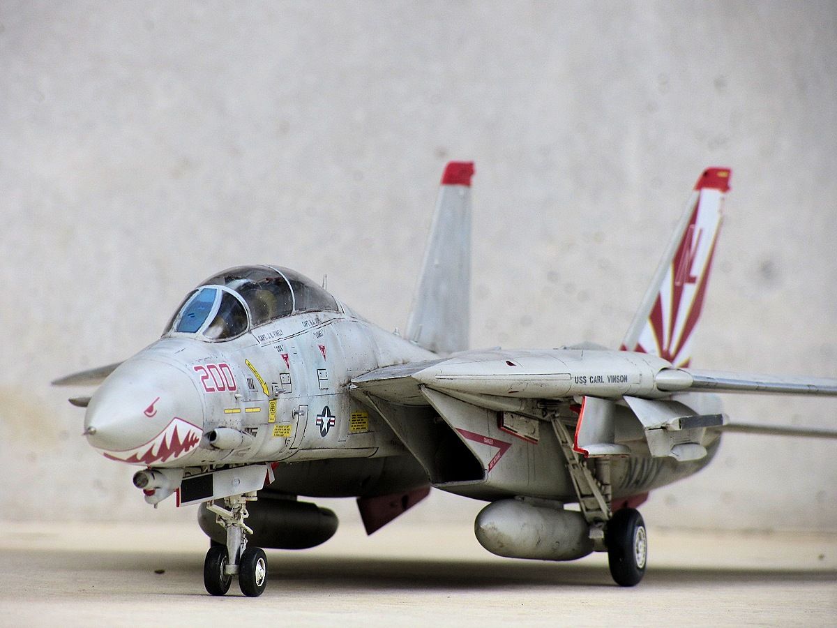 F-14A トムキャット VF-111サンダウナーズ : 熊猫製作所
