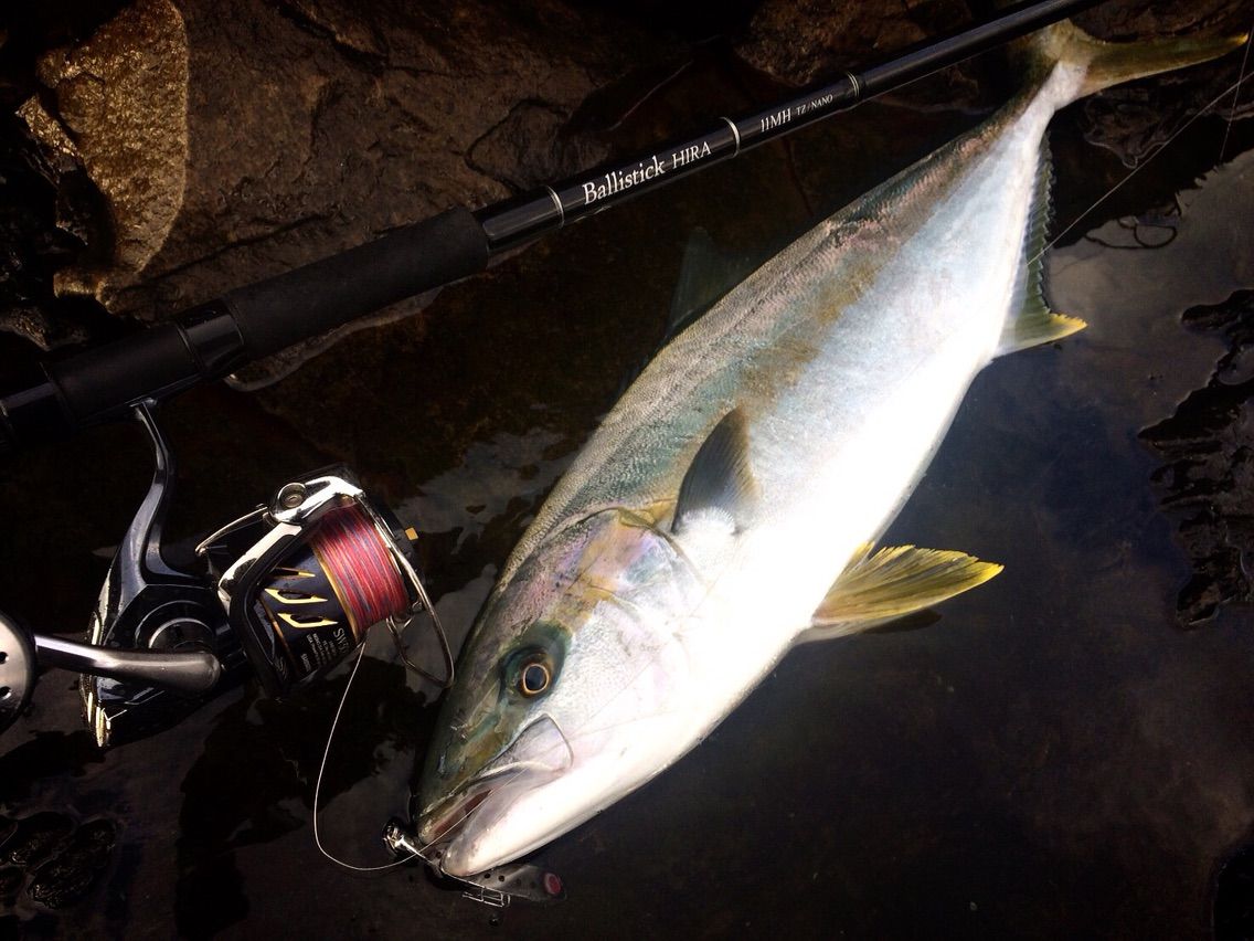 バリスティックヒラ 11MH TZ／NANO : FISHOUT