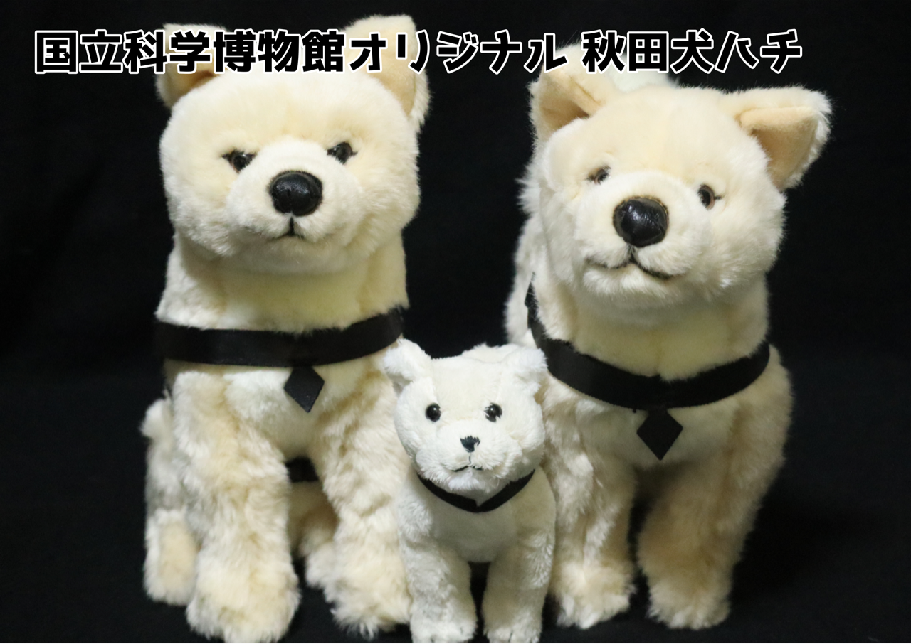 レビュー】国立科学博物館オリジナル 秋田犬ハチ : 百獣夜行見聞録