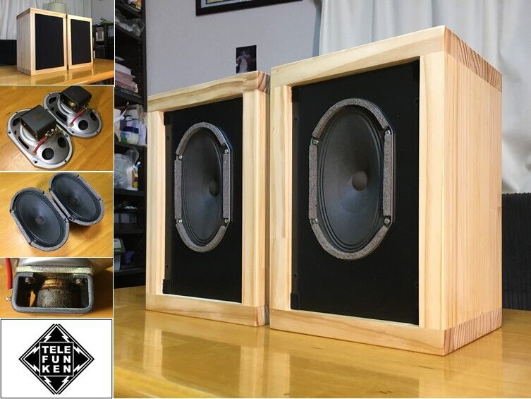 Telefunken ビンテージ録音モニタースピーカー ペア 驚きの高音質