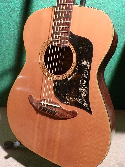 東海楽器ハミングバード 96F : 中古楽器屋への道(2） グラスホッパー