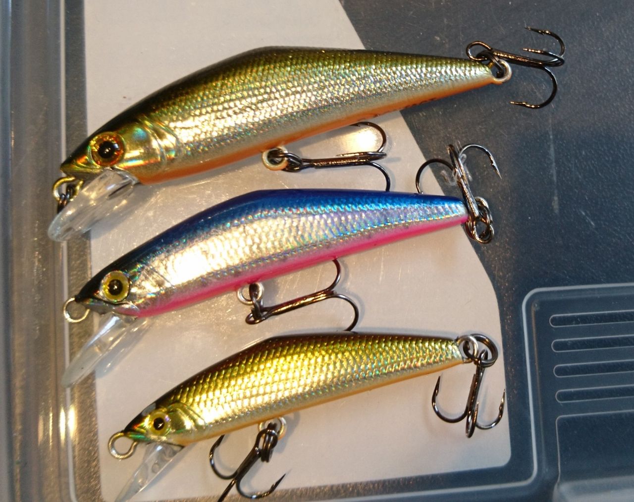 ネイティブトラウト】渓流釣り初心者にオススメするルアー5選【D