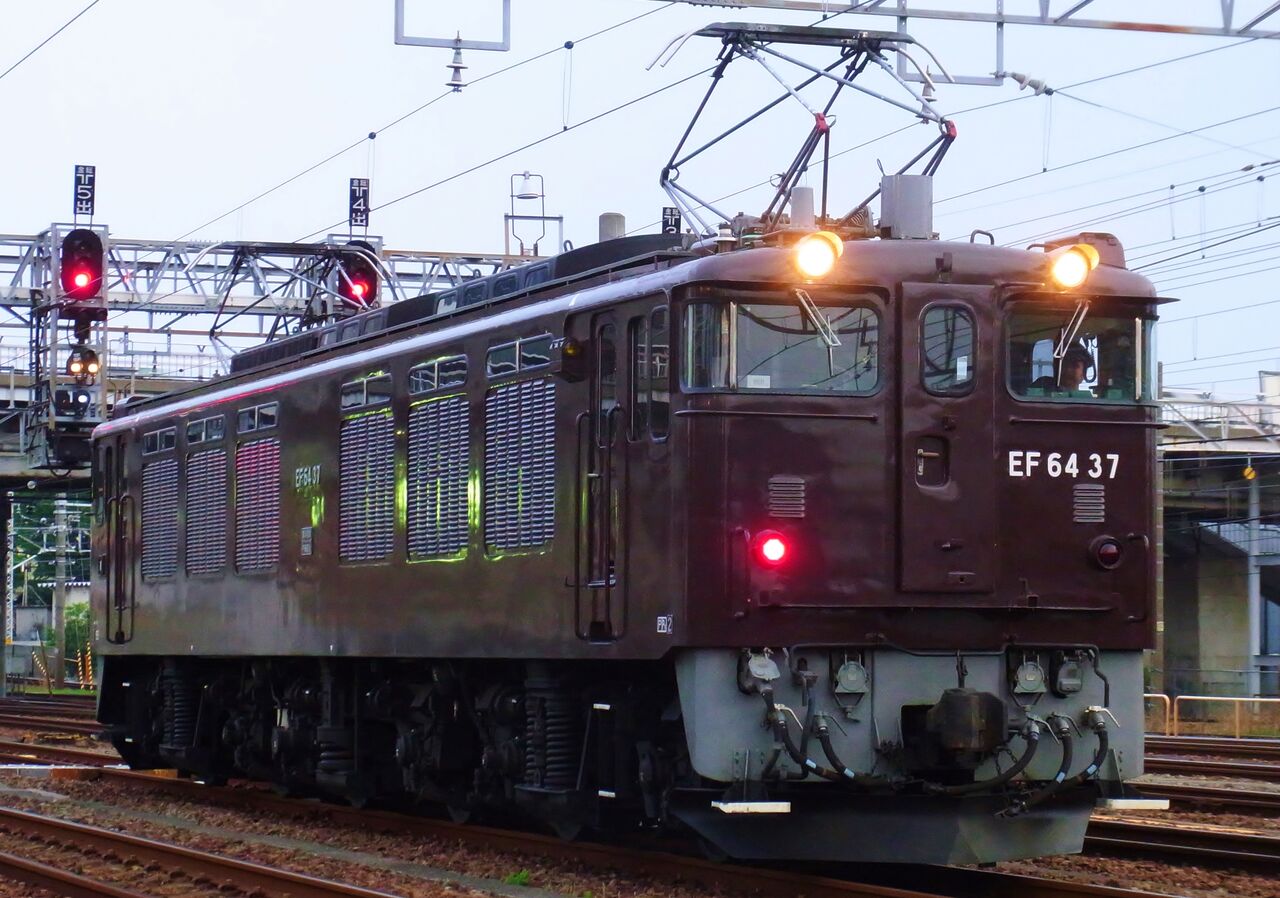 茶色時代のEF64-37 - れいるのおと