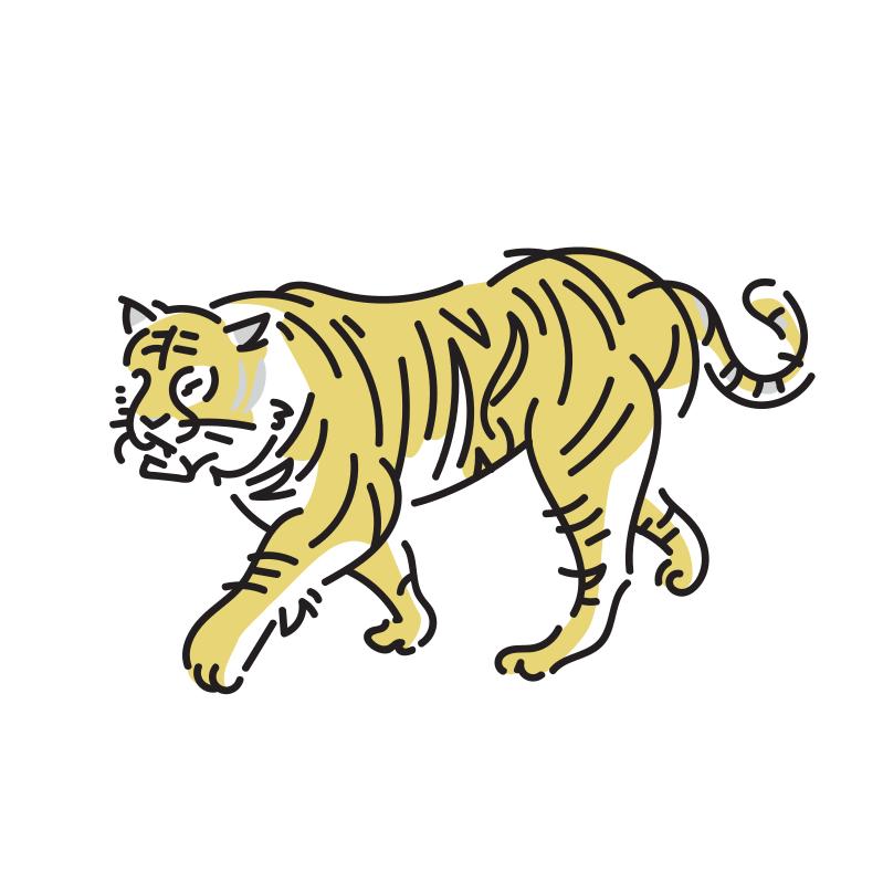 虎のイラスト