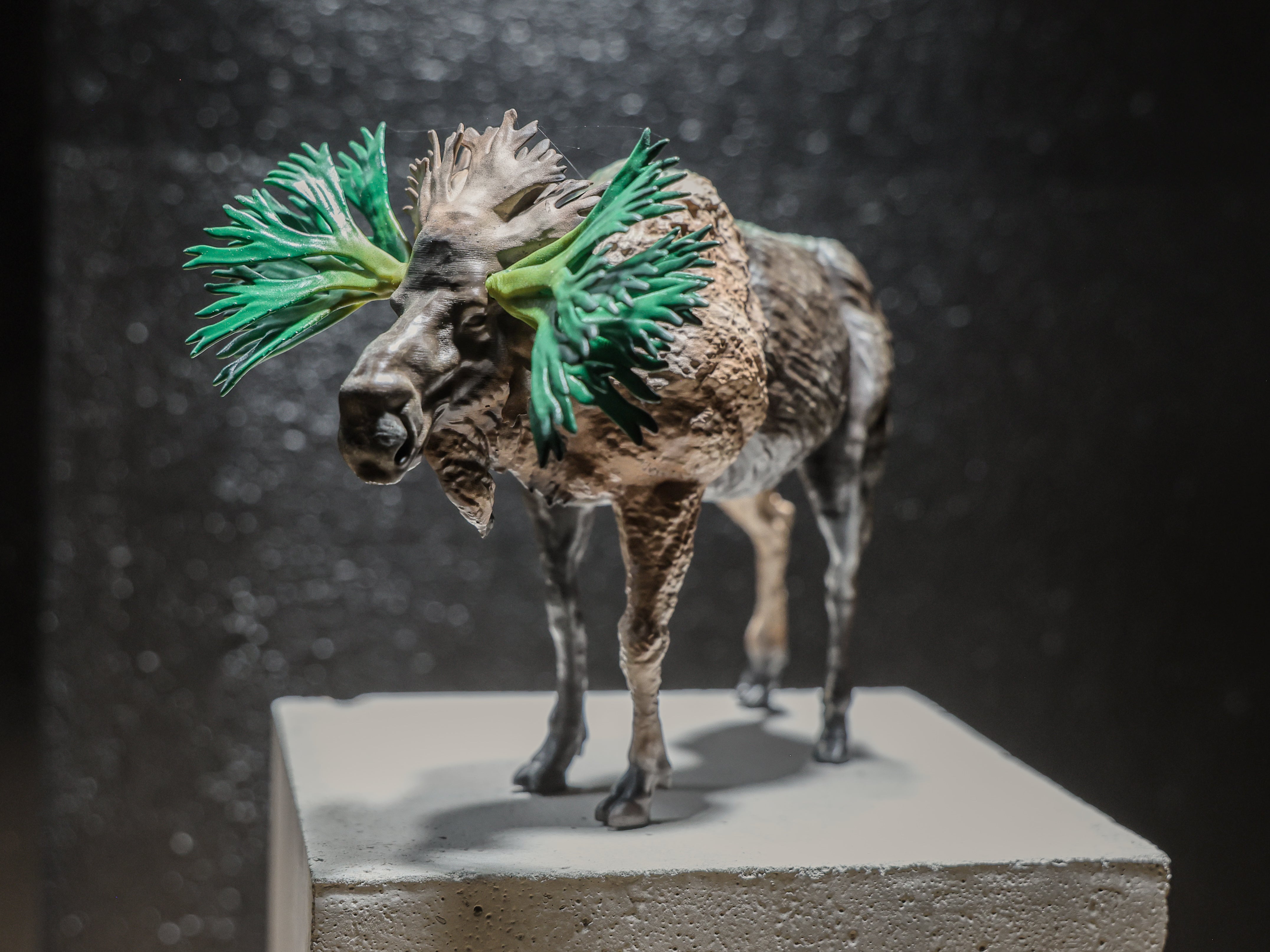 ビカクシカフィギュア タイプヘラジカ – LOBINDON