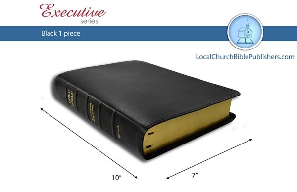 300-V Mid Size Classic Study Bible Black (Vinyl) | Local Church