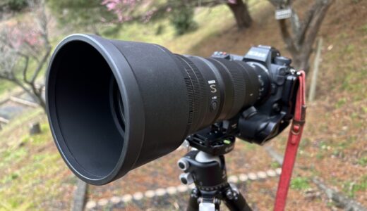 機材紹介】ダブルズームキットだからって馬鹿にできないNikonの55