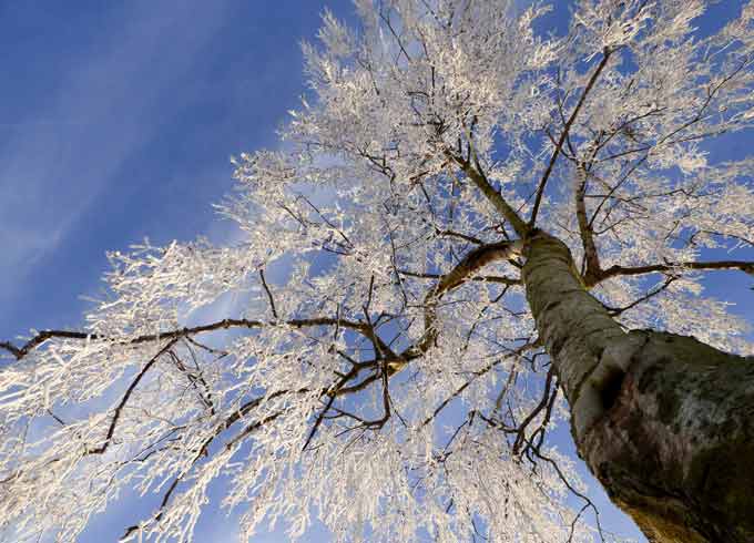 白川学館入門講義（第6回）の感想など | ロゴストロン ART