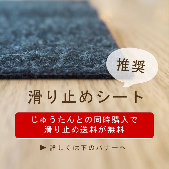 ER3001 商品詳細 リバーシブル・ストライプシリーズ03 |ラグ 絨毯通販