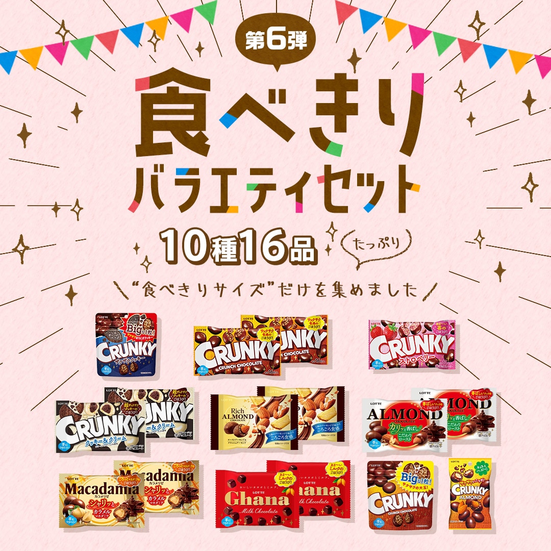 送料込】食べきりバラエティセット第6弾: チョコレート|LOTTE GROUP