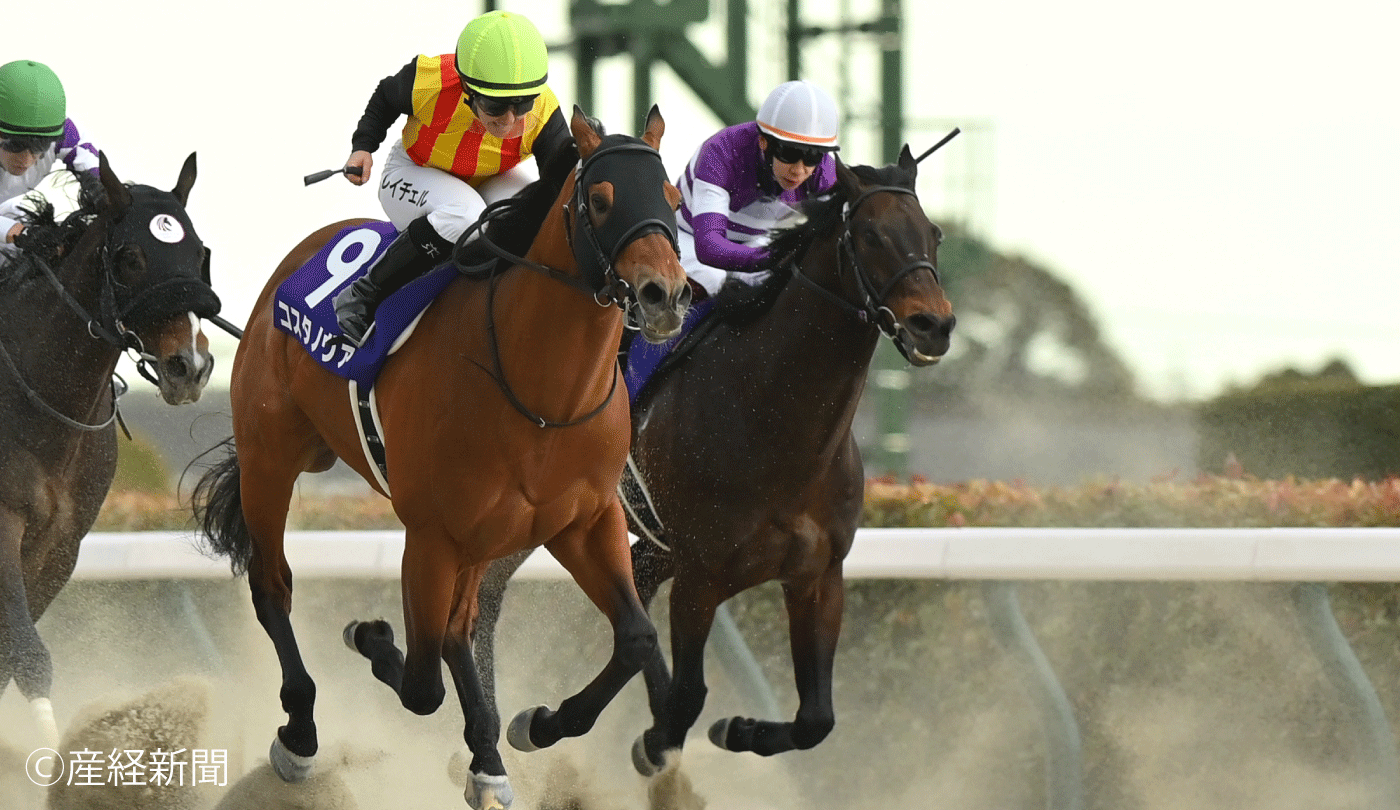 フェブラリーステークス2026攻略】穴馬は『中距離タイプ』に潜む！左