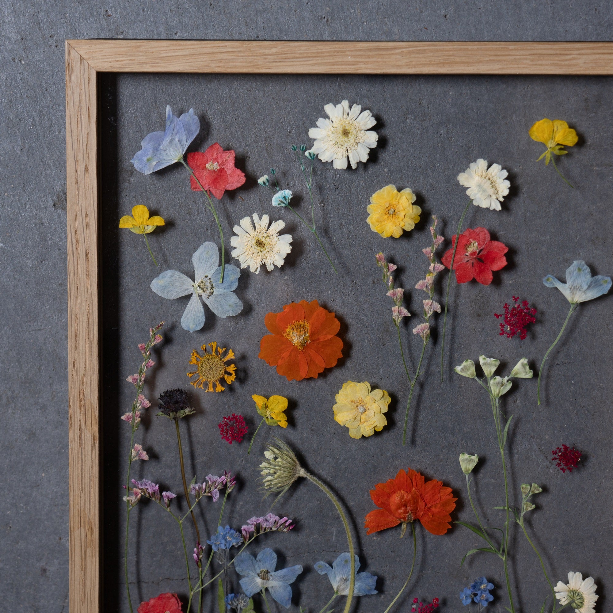 インテリア・雑貨 押し花フレーム カラフル