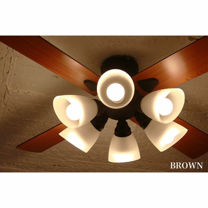 シーリングファン Windouble (6-lights)