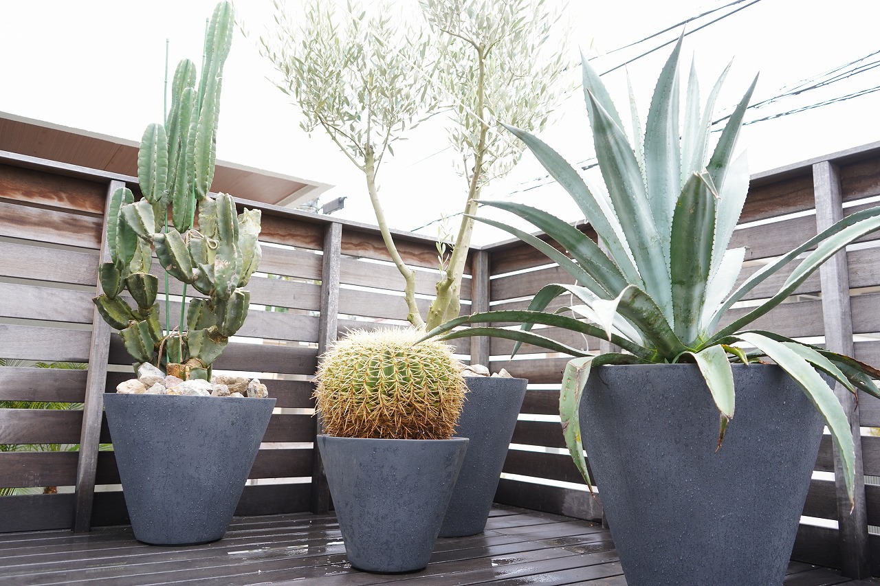 ドライガーデン 鉢植え植栽 - ドライガーデン・植栽デザイン専門店