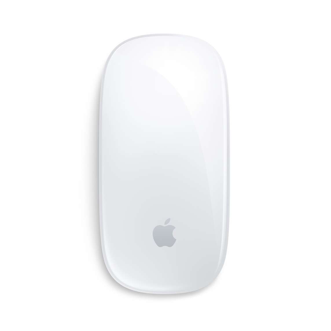 Apple Magic Mouse ( Multi-Touch Surface / USB‑C Charge Cable