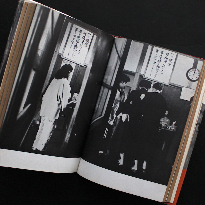 危険な毒花 / Dangerous Poisonous Flowers（Eleventh Edition