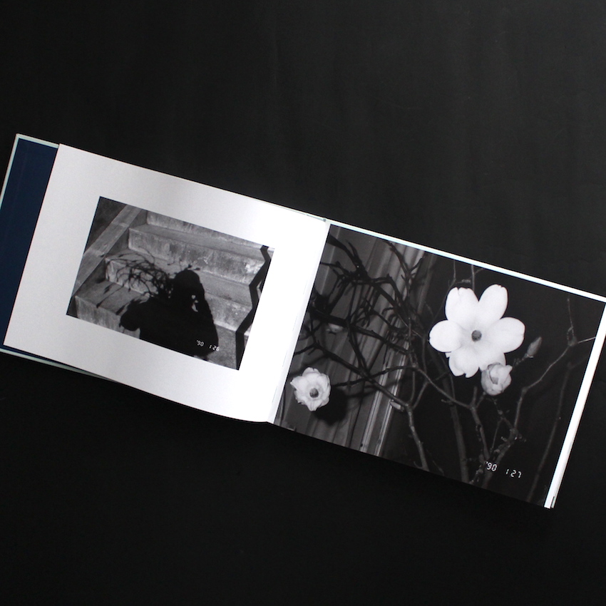花人生 / Flower - Life - 荒木 経惟 / Nobuyoshi Araki