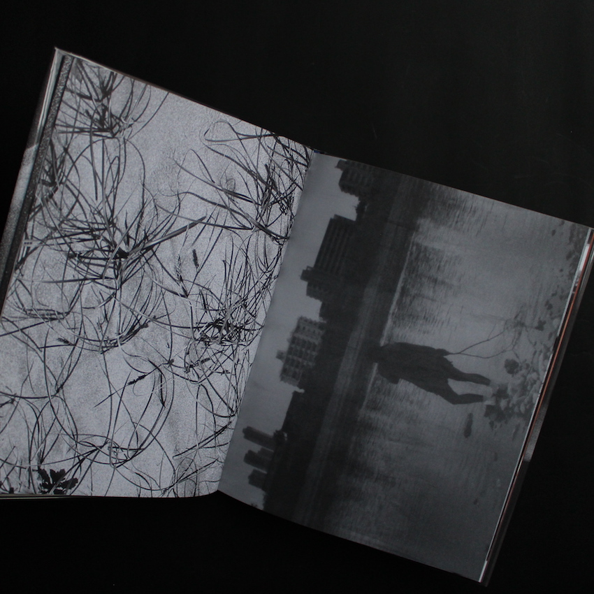 Girl（Reprint Edition） - 奥山 由之 / Yoshiyuki Okuyama