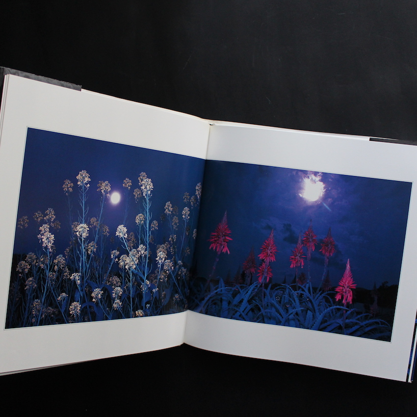 花狩 / Botanical Planetarium - 山村 雅昭 / Gasho Yamamura