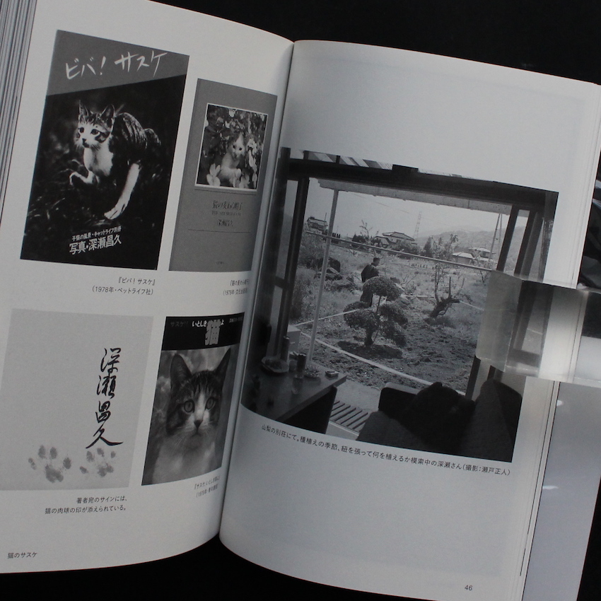 深瀬昌久伝 - 瀬戸 正人 / Masato Seto