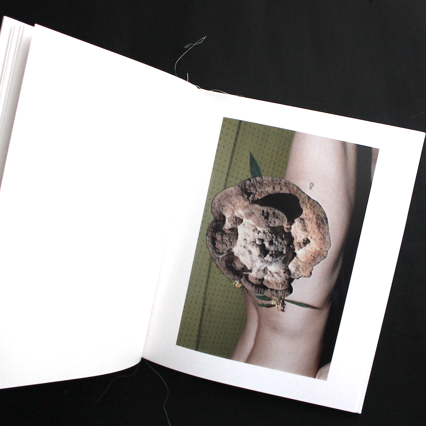 Of Mud and Lotus - Viviane Sassen