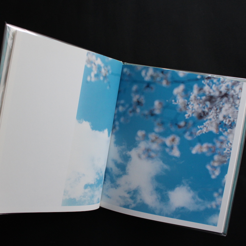 hysteric Eight - 鈴木 理策 / Risaku Suzuki