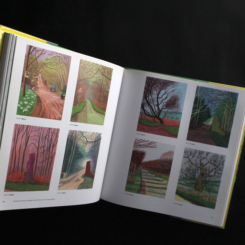 A Bigger Picture - David Hockney