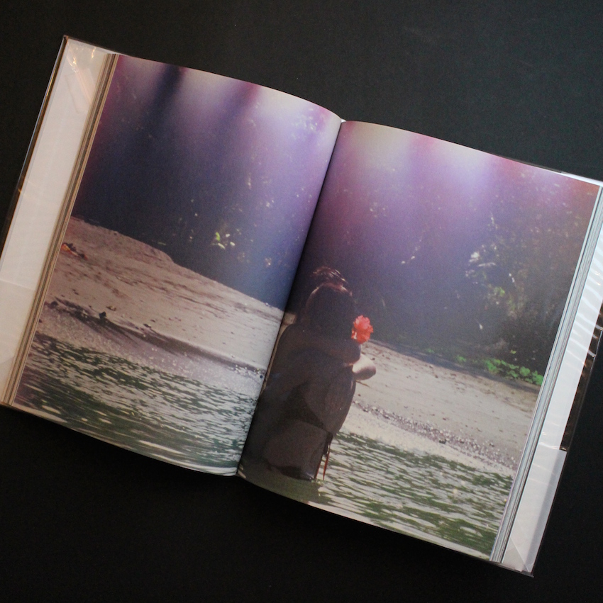 The Heart Land（With OBI） - Mark Borthwick