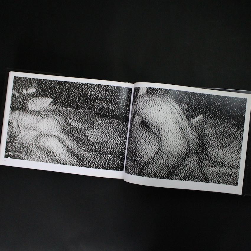 The Park - 吉行 耕平 / Kohei Yoshiyuki